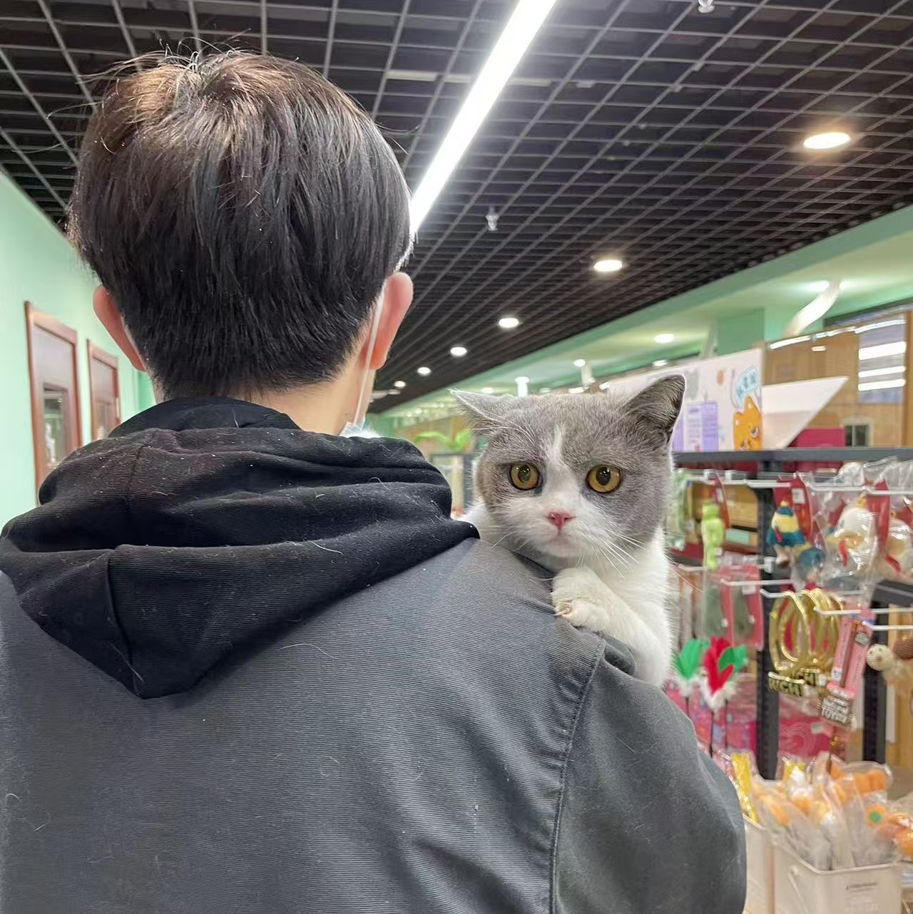 Tim