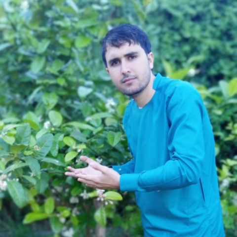  Arman