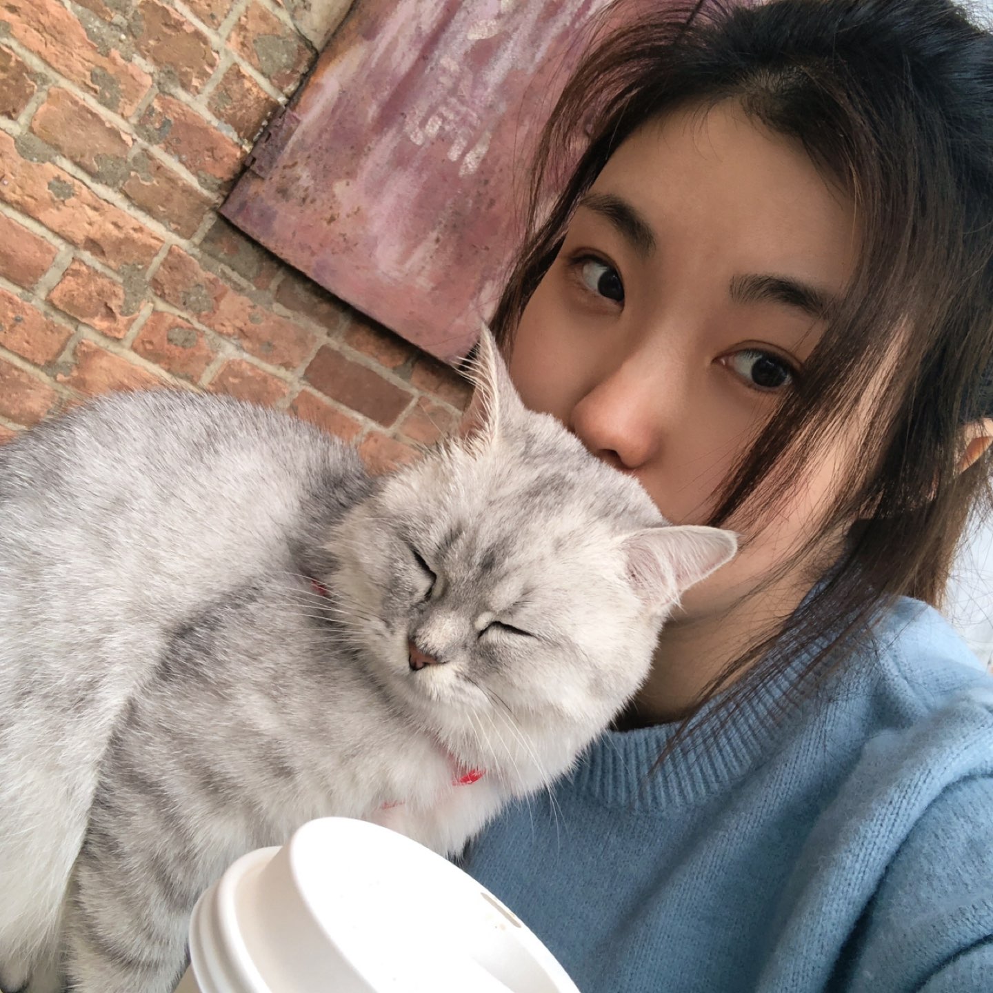 新卡洛儿
