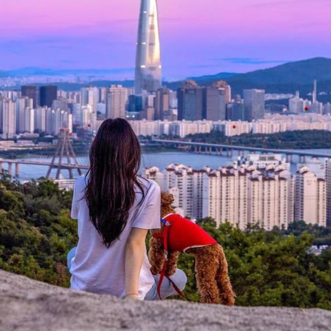 모히체흐라_Mohichehra