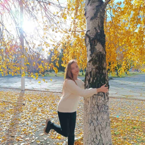 dasha