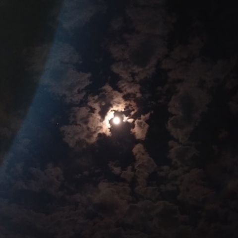Maan