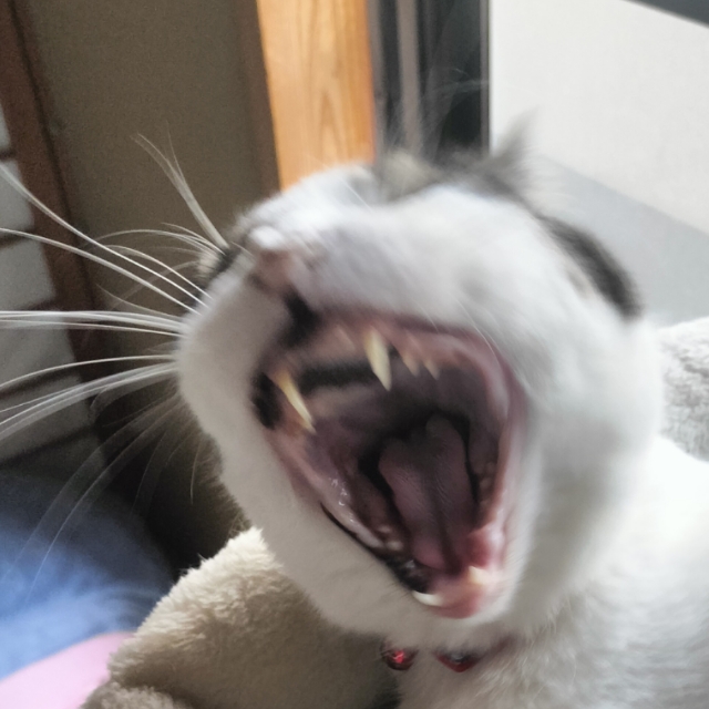 きみ