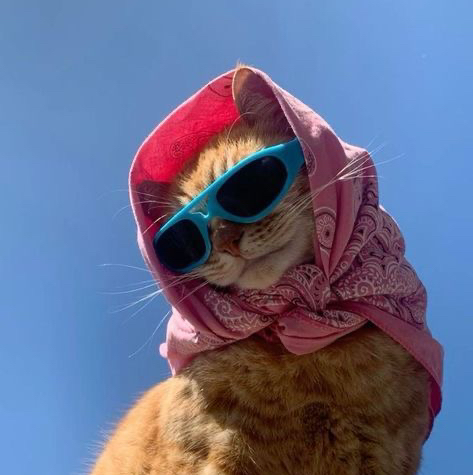 أيرينا