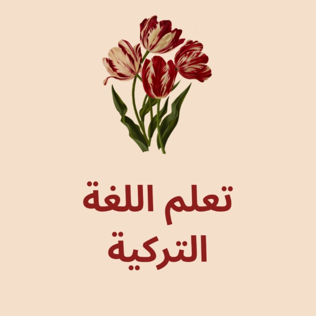 معلمة لغة تركية