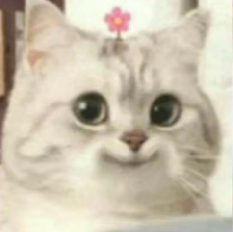 寧々