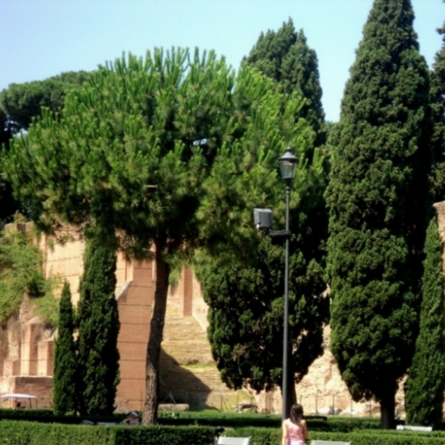 Bia