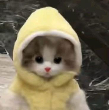 Nacho