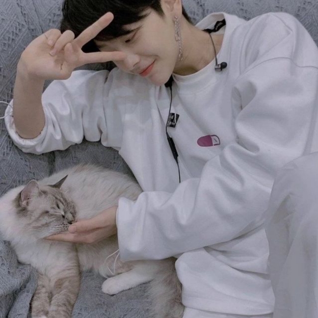 meow