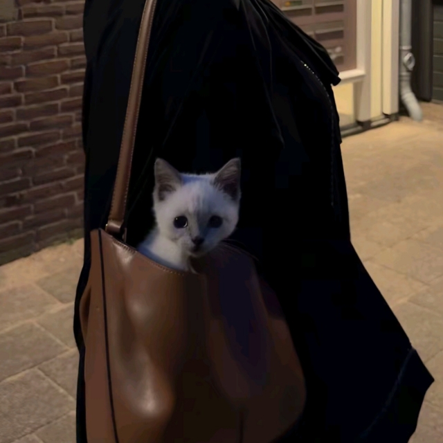 Meow
