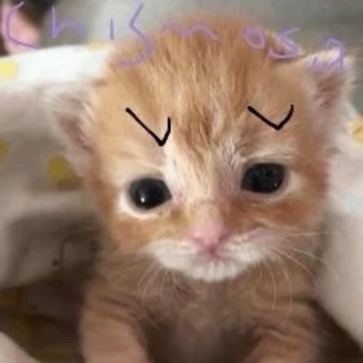 ouo
