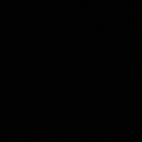 Shaheena