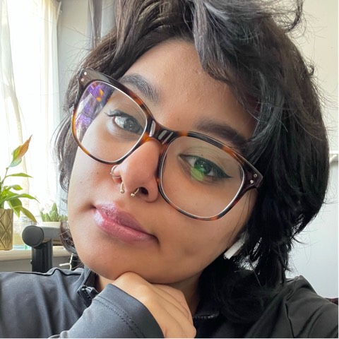 Nisa