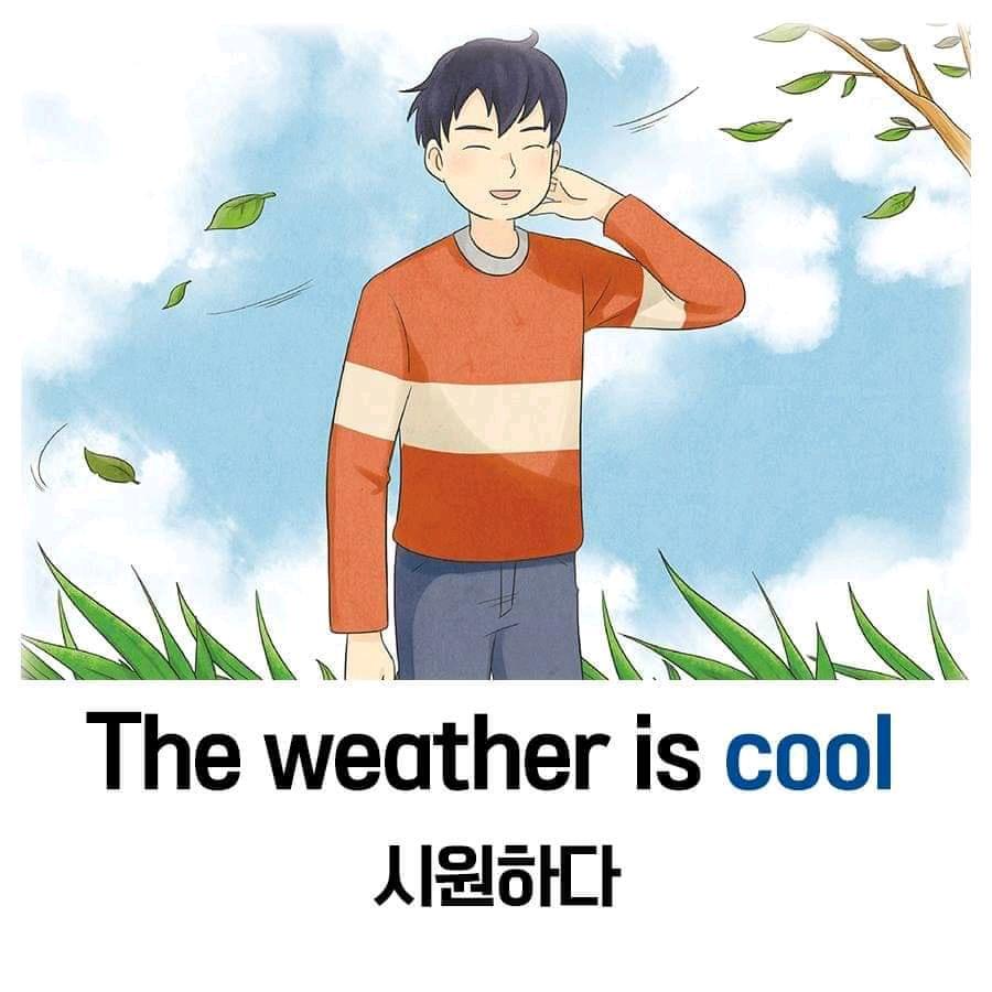 시원해요. 더워요. 비가 오네요. 날씨가 나쁘네요. 비가 그쳤어요. 구름이 많네요. 바람이 불어요. 날씨가 좋네요. 눈이 와요 ...
