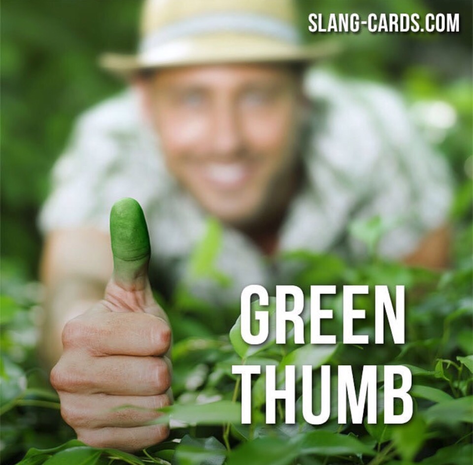 English Expressions Green Thumb Meaning A Special Talent For idiom-green-thumb-all-things-topics