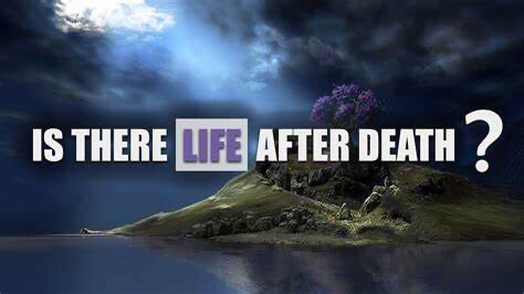 LifeAfter - 🆕❤️Dear survivors: ❗️The Death High would be