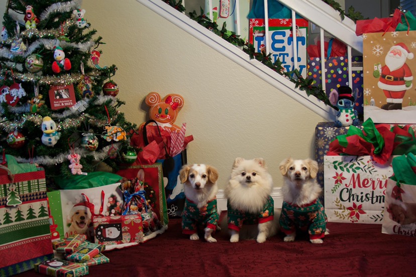 ハニーグレーズクリスマスハムのレシピ