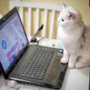 Behind the scenes of the adorable CiCi. All I wanted to do ...