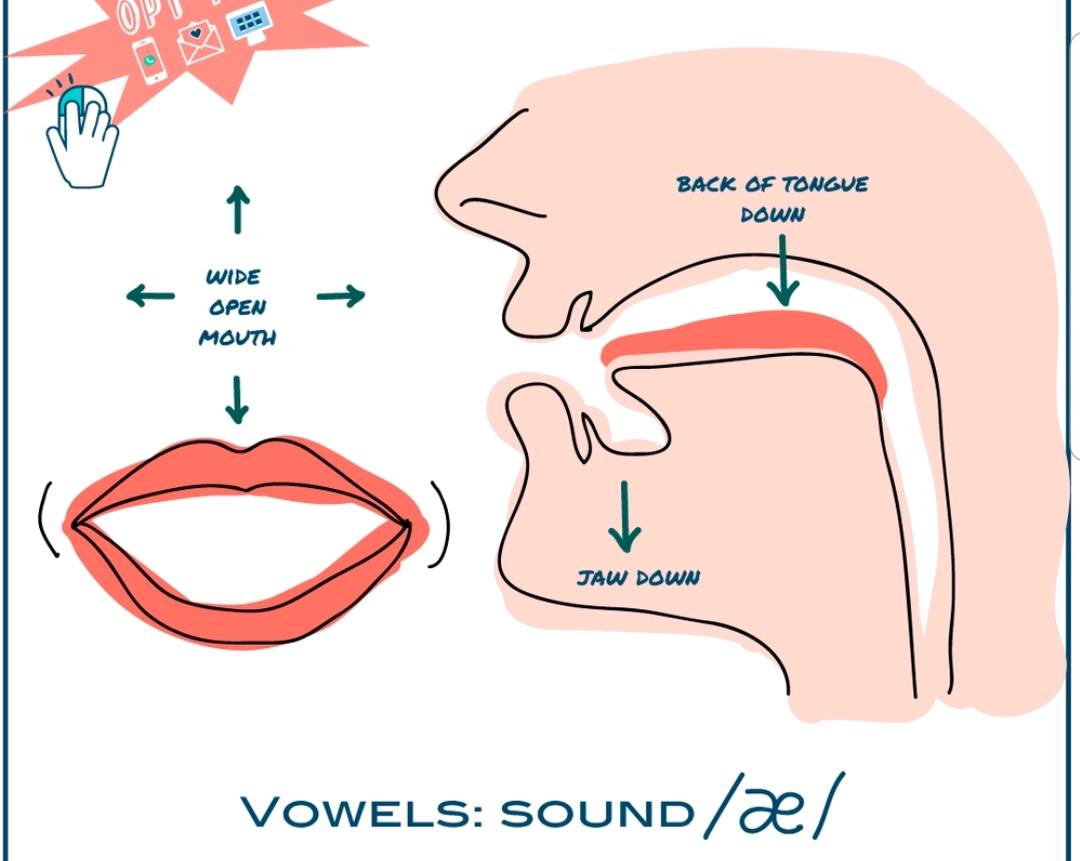 Os dejo un diagrama que trata de la pronunciación de la vocal /æ/ en ...