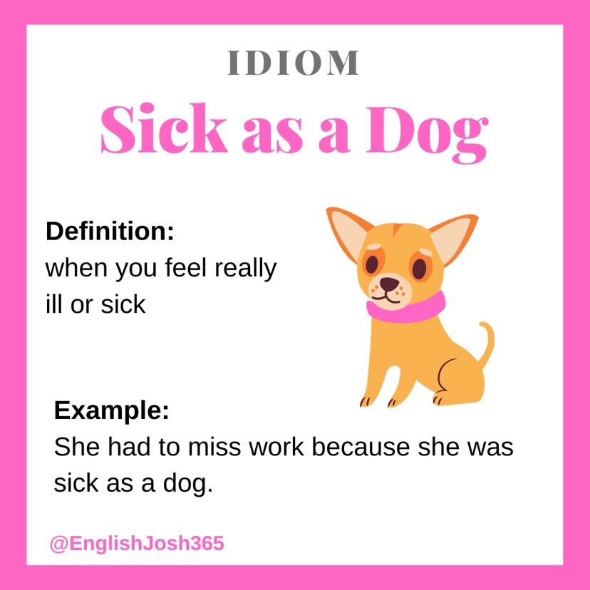 Where Did The Phrase Sick As A Dog Originate?