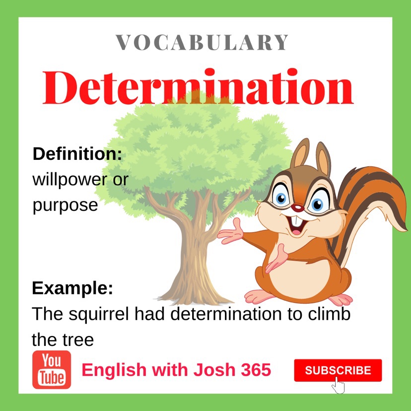 english-vocabulary-determination-means-willpower-or-purpose