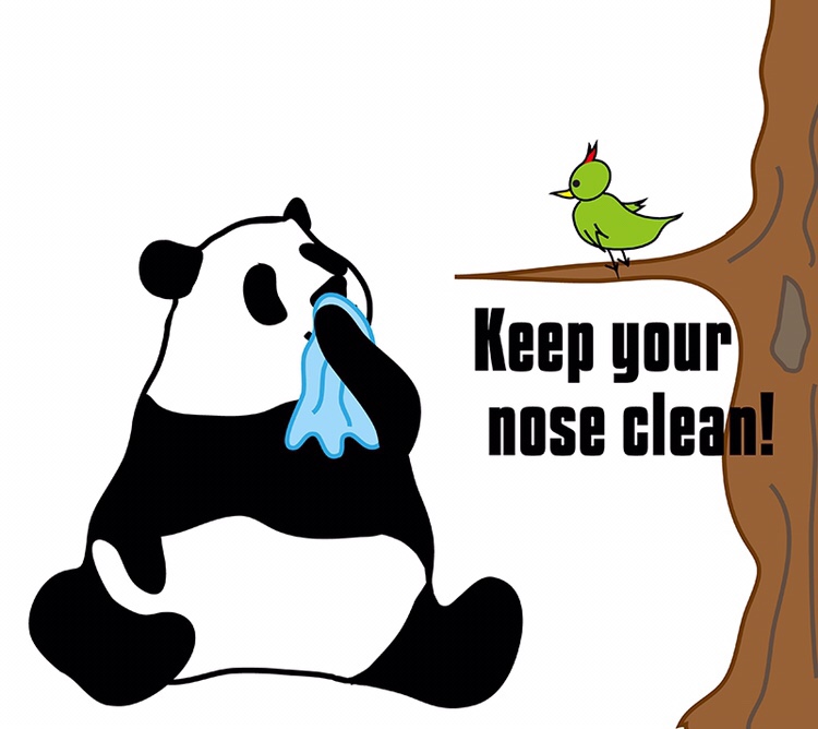 idiom-of-the-day-keep-your-nose-clean-to-keep-your-nose-clean-is-to