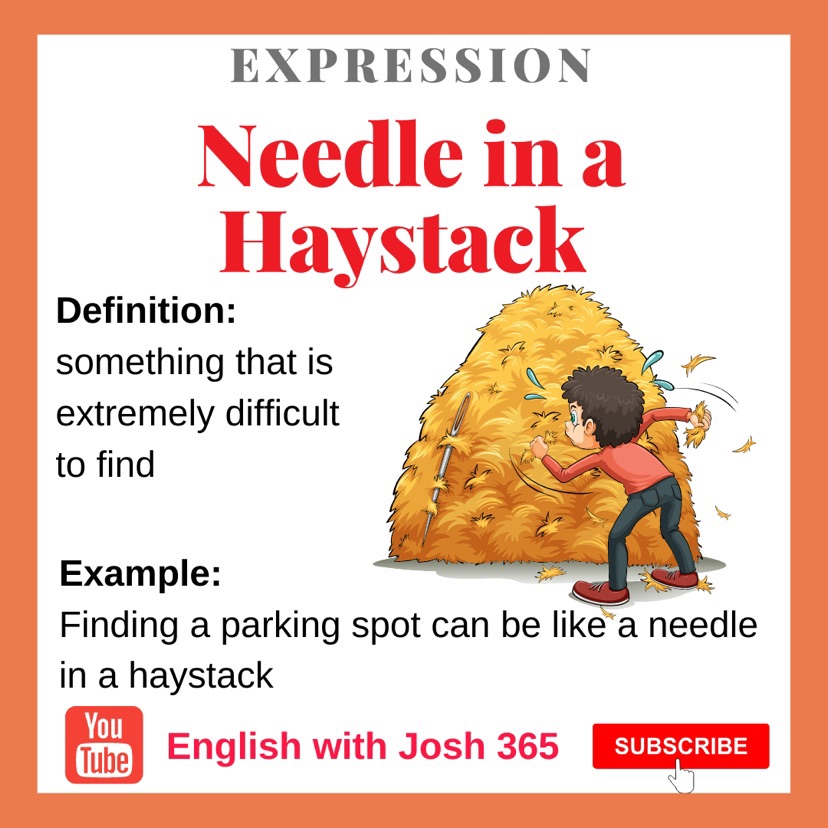 🇺🇸English Expression 🪡Needle in a haystack means something that is extremely difficult to find 🎥