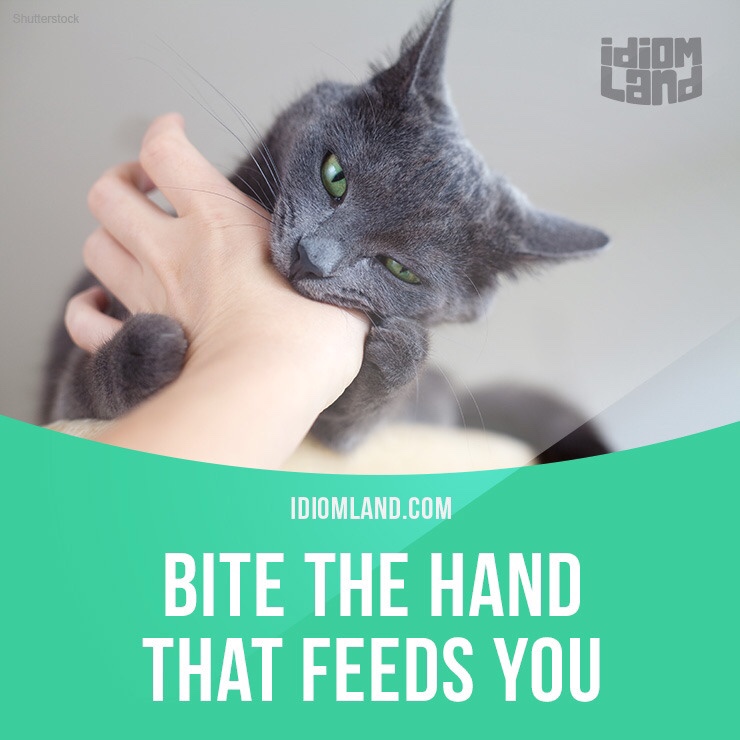 One that hand. The hand that Feeds you. Don’t bite the hand that Feeds you. Не кусай руку, которая тебя кормит.. To bite the hand that Feeds you idiom.
