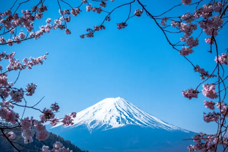 A Practical Guide to Japanese Learning Platforms