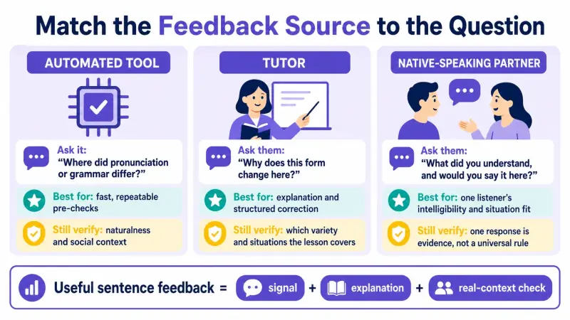 Feedback sources matched to sentence questions