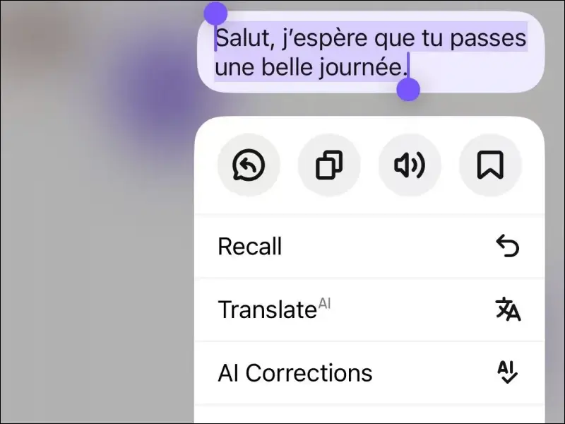 HelloTalk chat tools for translation and AI-assisted corrections