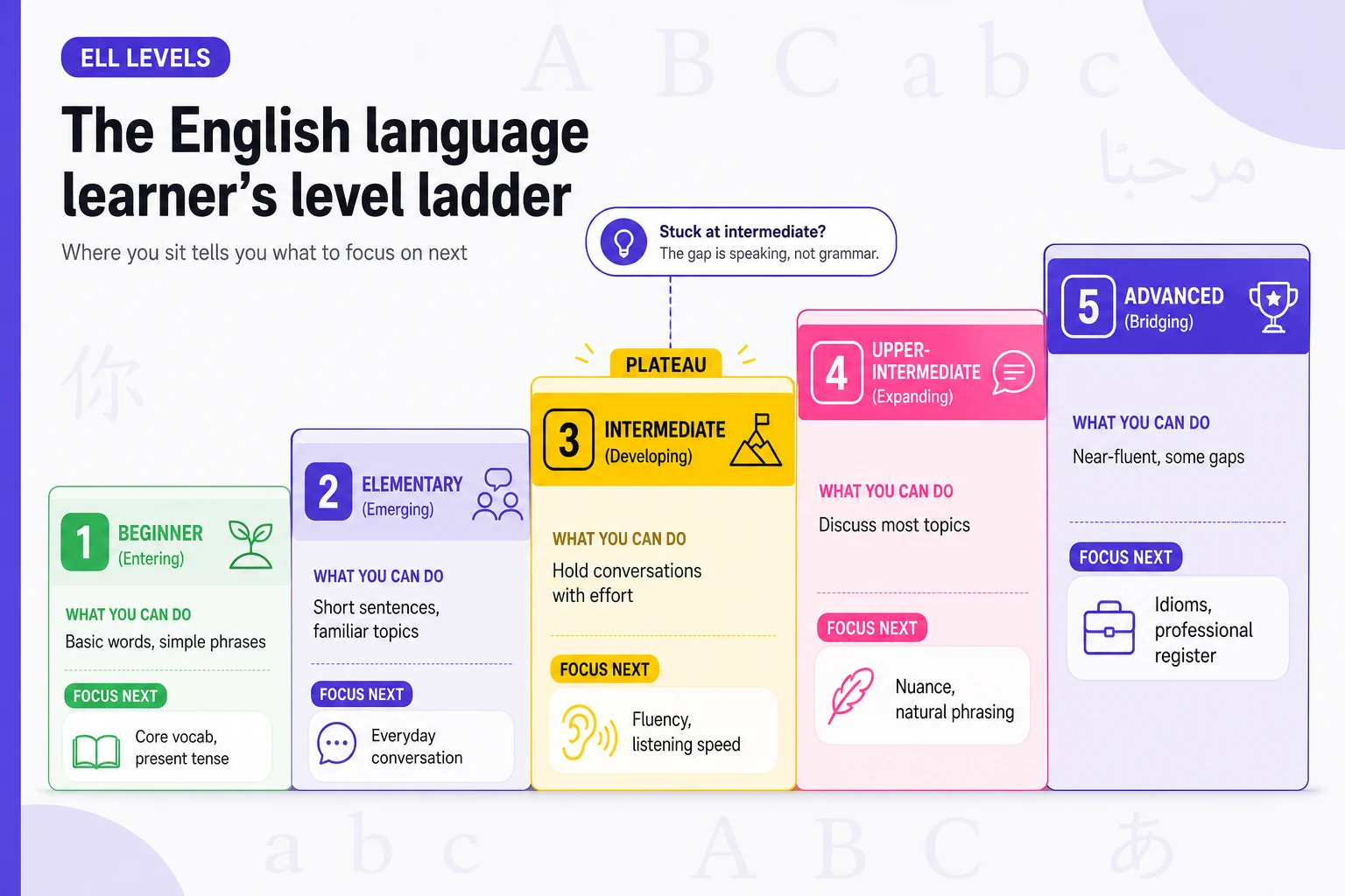 English learner level ladder infographic