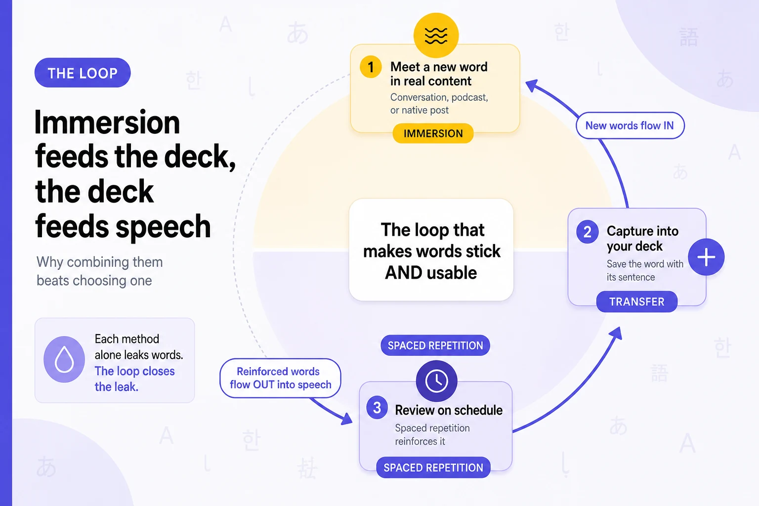 Immersion and spaced repetition feedback loop infographic