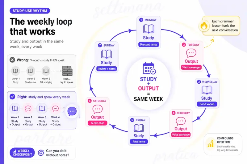 Italian study input and output weekly loop infographic