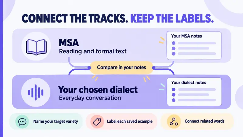 Separate labeled MSA and dialect practice tracks connected in notes