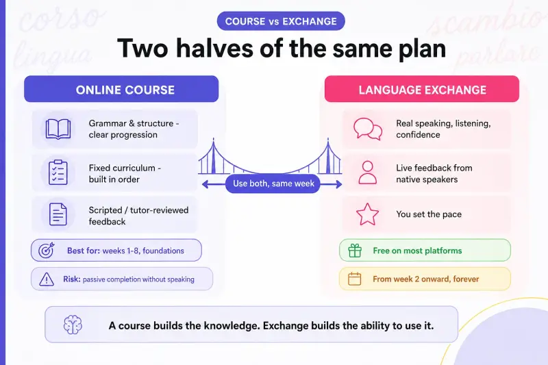 Online course and language exchange comparison infographic