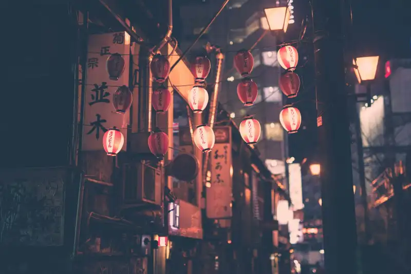 Japanese Learning Guide: From Zero to Conversational Fluency